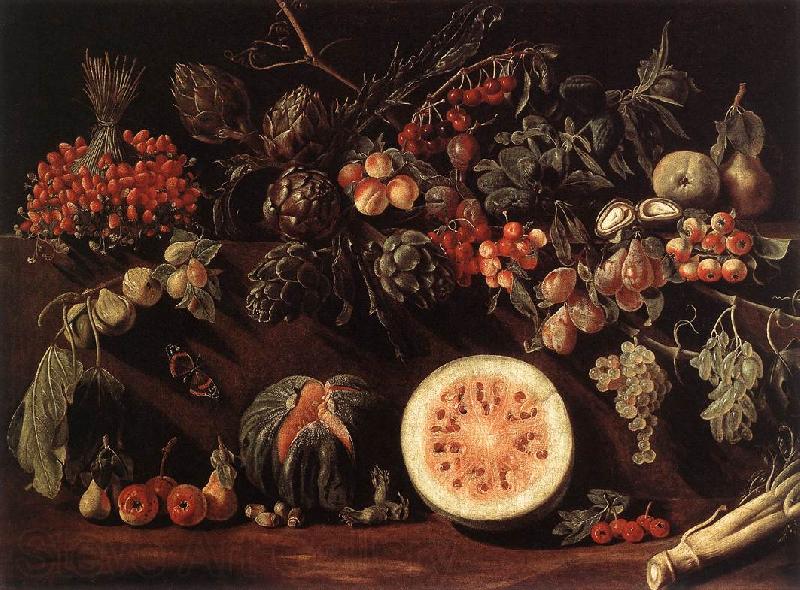 BONZI, Pietro Paolo Fruit, Vegetables and a Butterfly Norge oil painting art